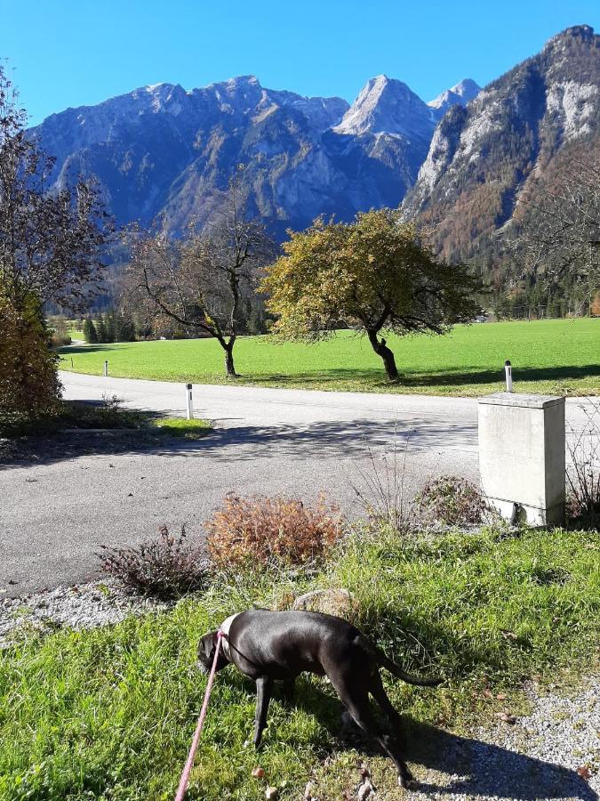 Rulfik Aparthotel Hinterberg  Luaran gambar